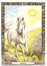 Ways of finding out what your Totem/Power Animal is - Pat R Horse10