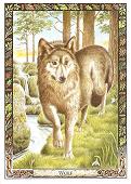 Ways of finding out what your Totem/Power Animal is - Pat R Wolf10