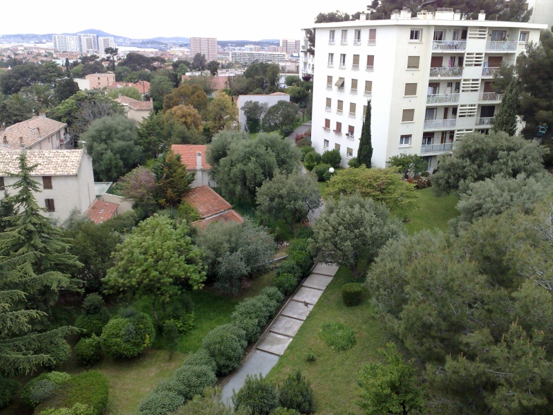 LA PINEDE VUE DU HAUT Bt13410