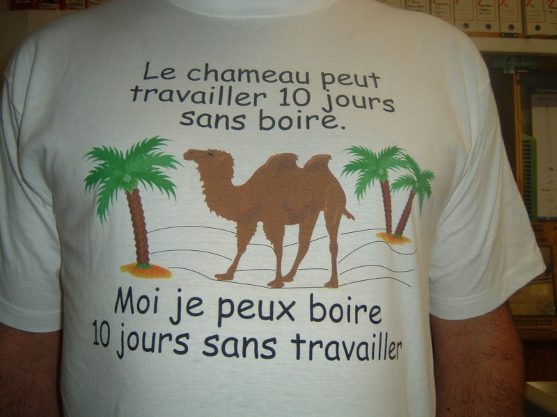 blague a gégé - Page 5 Travai10