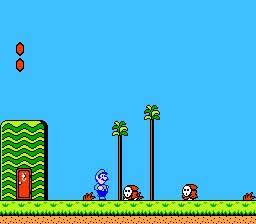[NES] Super Mario Bros 2 264