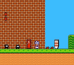 [NES] Super Mario Bros 2 838