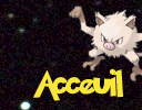 Accueil