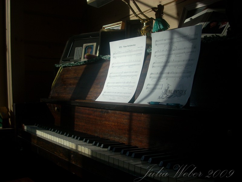 Iggy's Photo Gallery Piano10