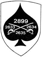 Batalhão de Cavalaria 2899-"Ás de Espadas" Ccav2610