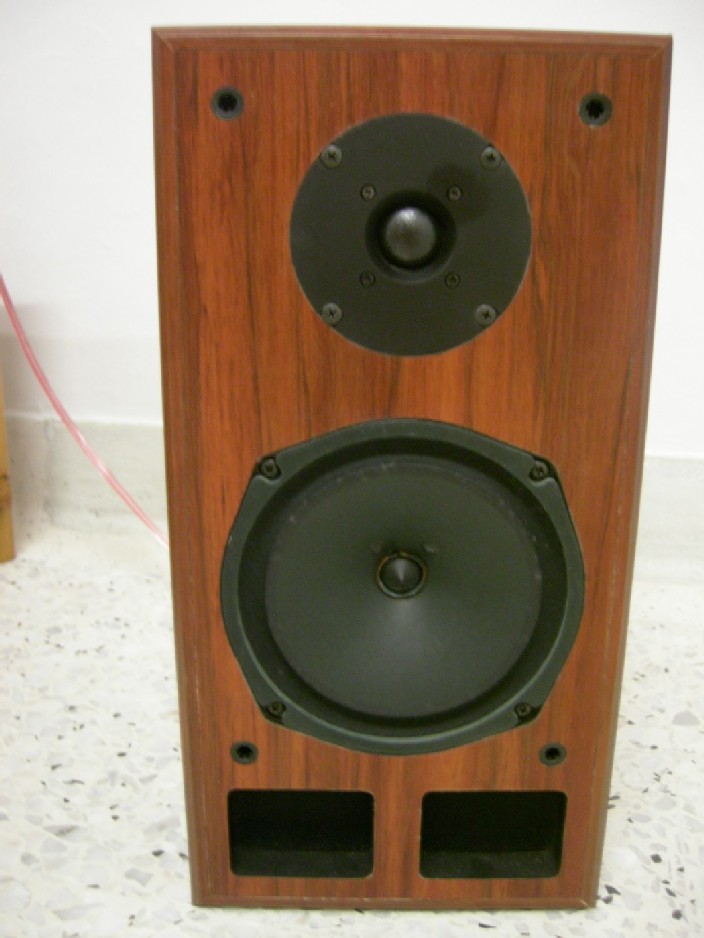 Loth-X Ion 1 speakers (Used)- Sold Dscn9113