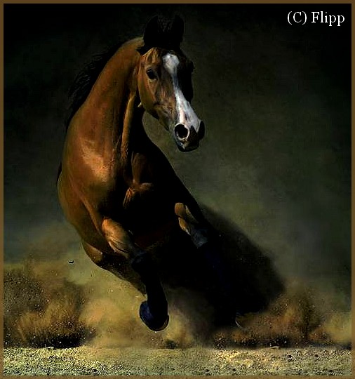 Flipp's characters Horse-11