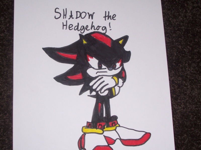 My Shadow the Hedgehog drawing Trhfg_10