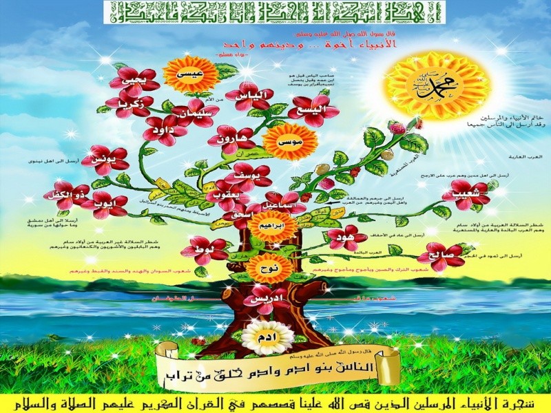 شجرة عائلة ابو رحاب