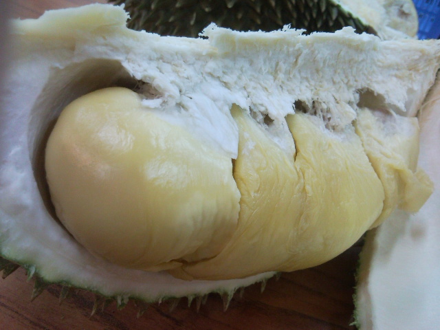 Food thread - Page 2 Durian10