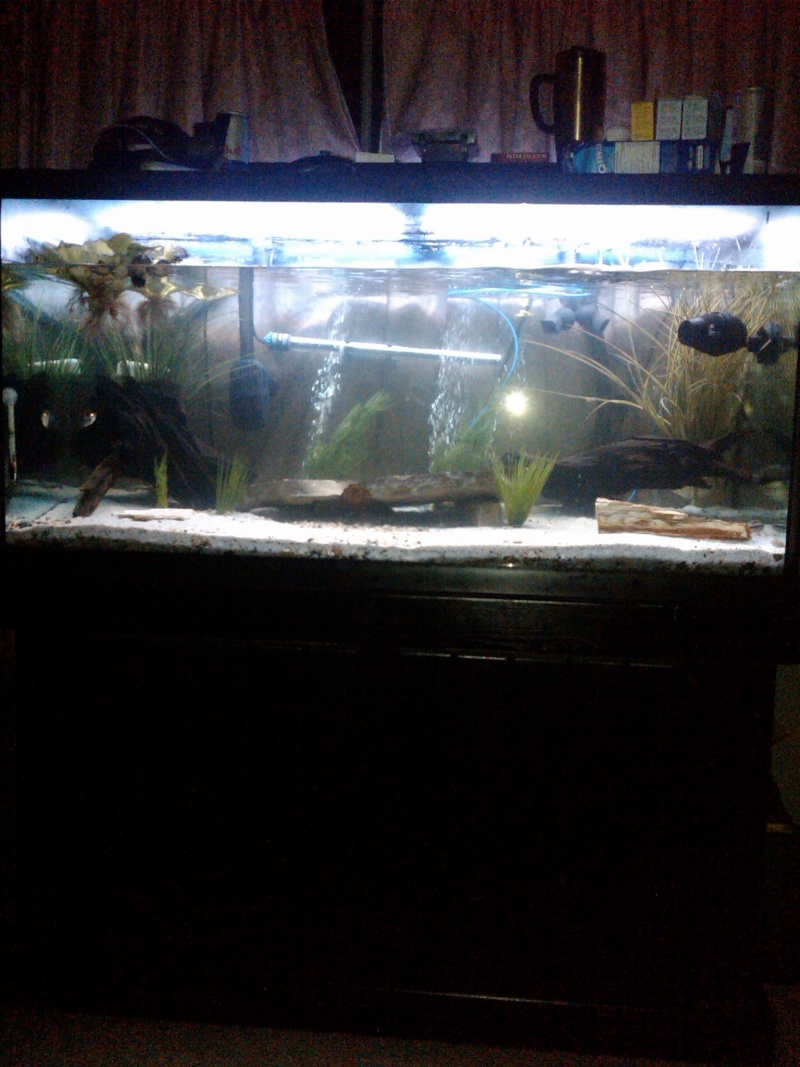 My Compresus Tank Compre15