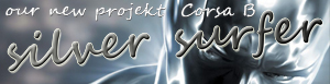 our new Projekt - The silver surfer Banner10