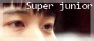 super--junior Dd10