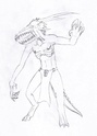 mes croquis diver zé variés Image11
