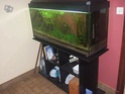 vends aquarium 240l tout équipé + meuble ain / Rhone Aquari11