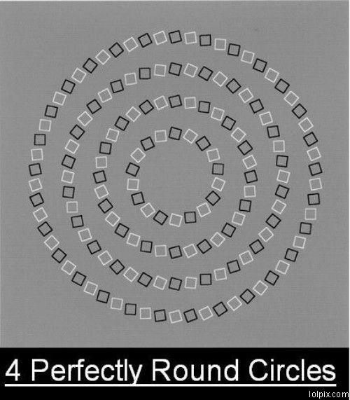 4 cercles parfaits Funny_10
