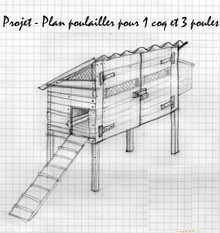 Construire Poulailler En Palette Affordable Construire Poulailler