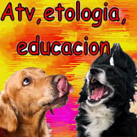 ATV y etología-educación canina