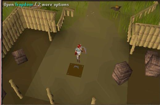 quest guide for: Monkey madness Step_311