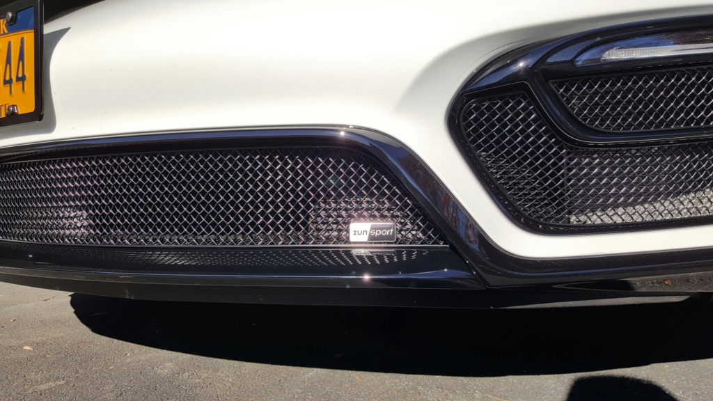 Grille protection radiateurs Cayman17