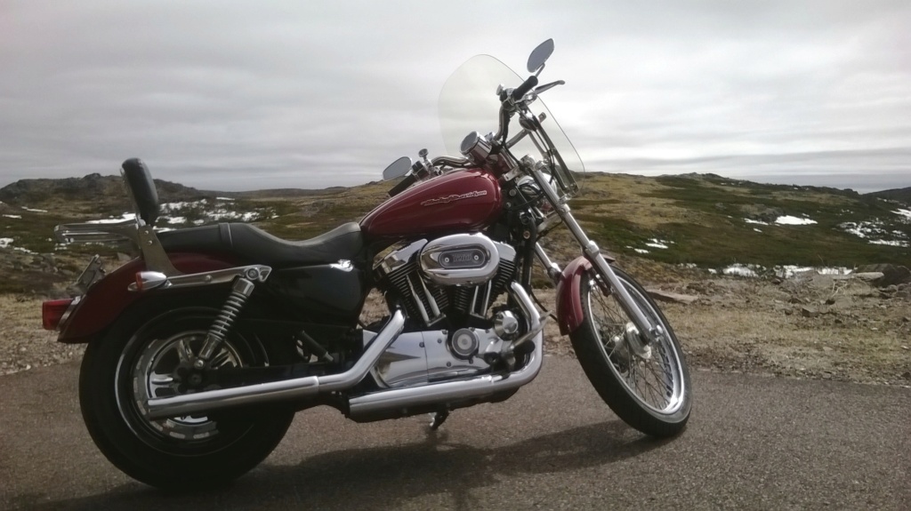 Harley 1200 Wp_20117
