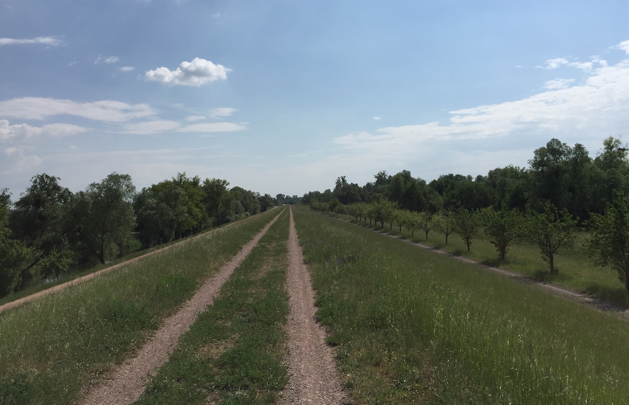 85km à Vélo : La Piste des Forts à Strasbourg A_1210