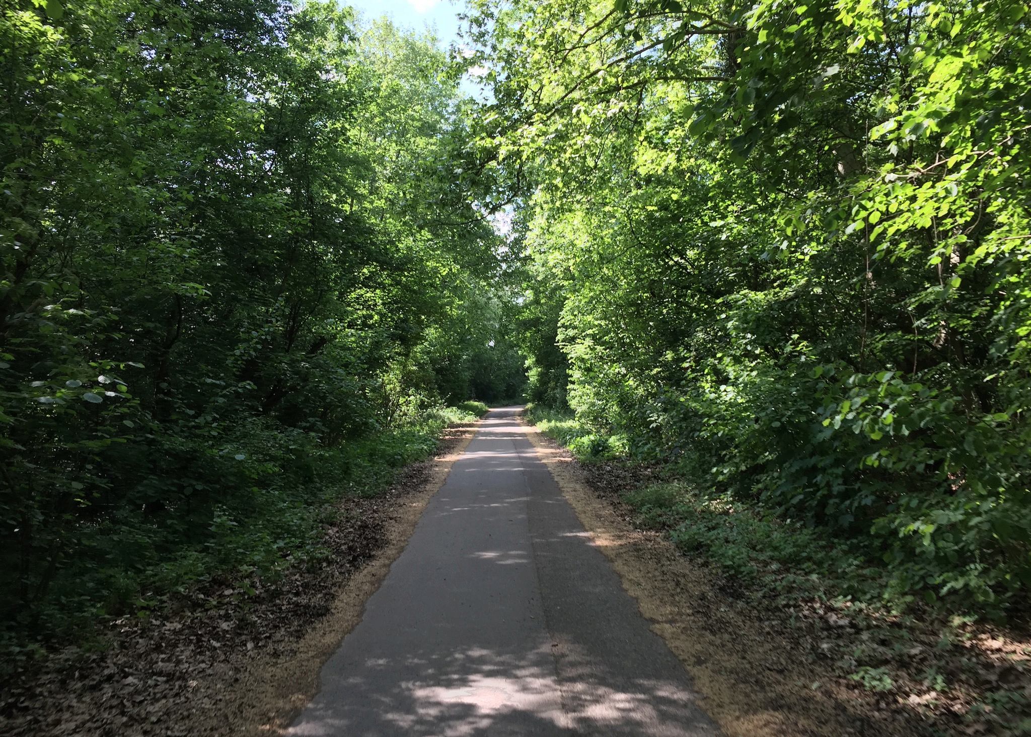 85km à Vélo : La Piste des Forts à Strasbourg A_1510