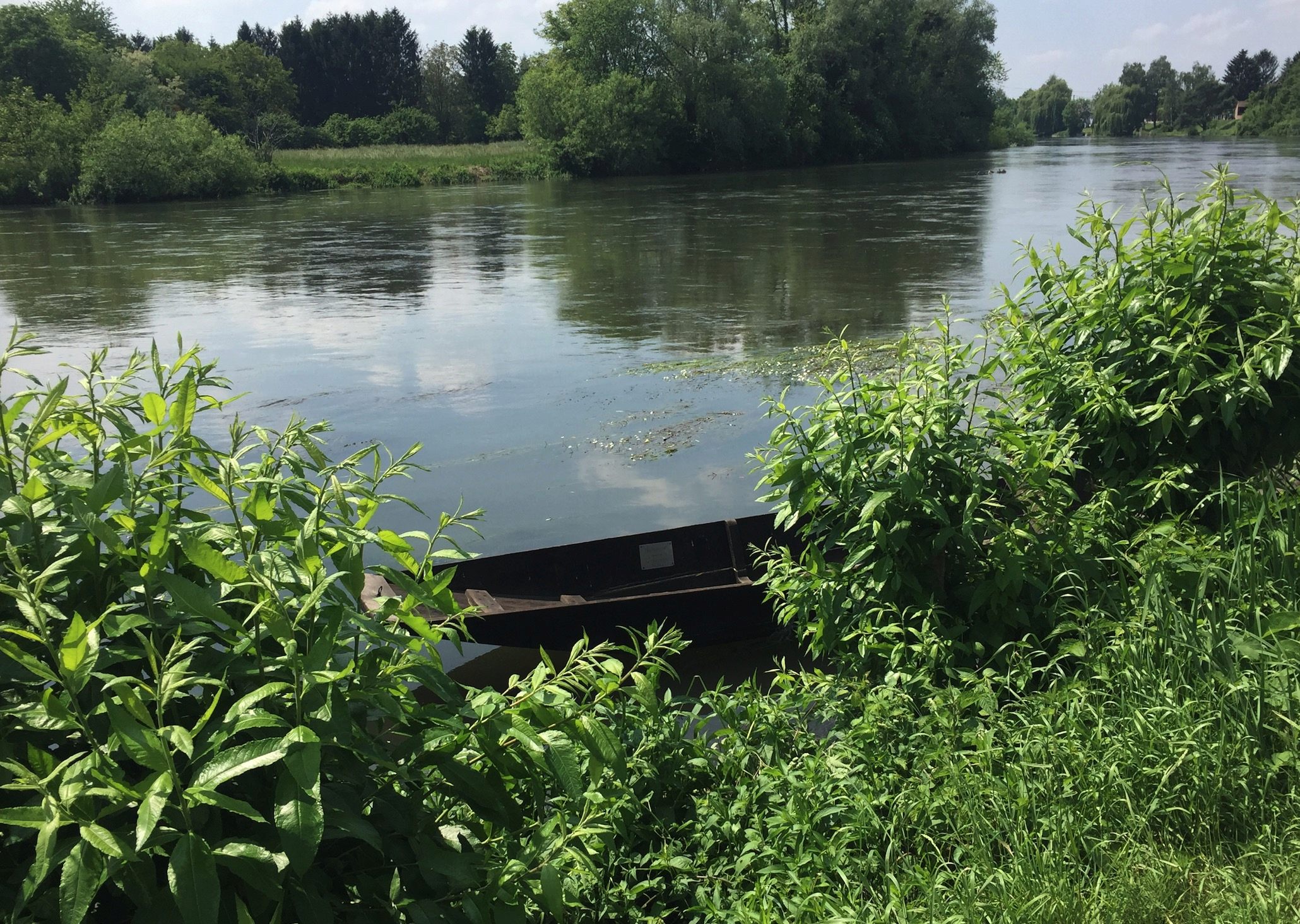 85km à Vélo : La Piste des Forts à Strasbourg C_311