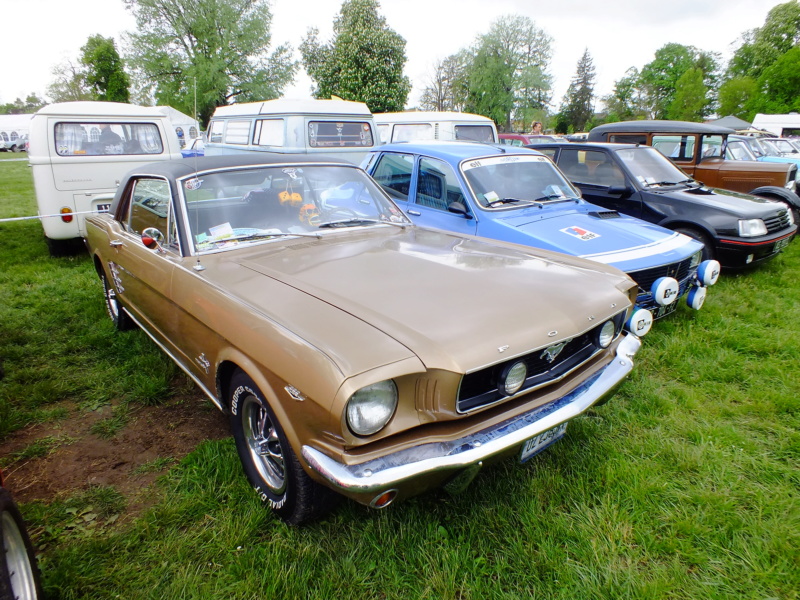 les Mustangs 66 dans diverses expos en France Dscf4617