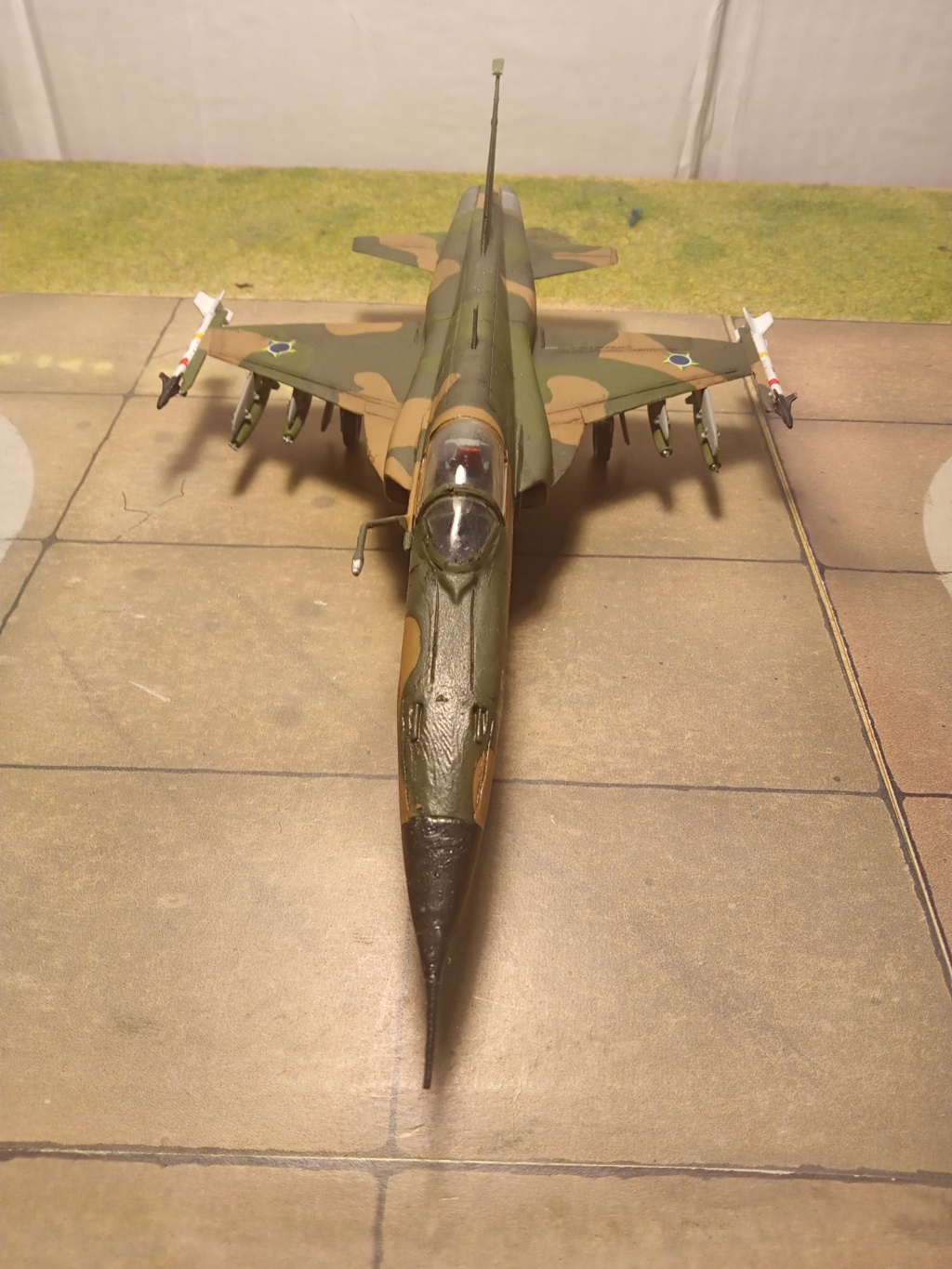 [Heller-Airfix] F 5E 1 Tiger II /Brésil 1985 Img20420