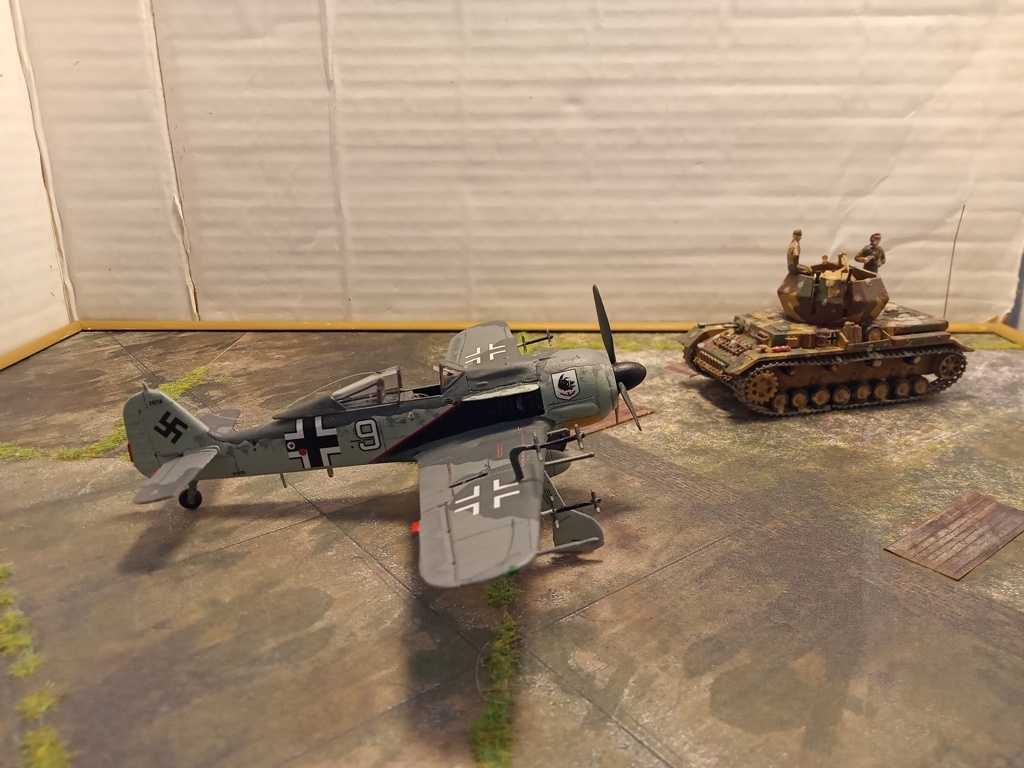 [Revell] 1/72 - Focke-Wulf Fw 190 A-8/R-11 / Allemagne 1944  (fw190) Img20623