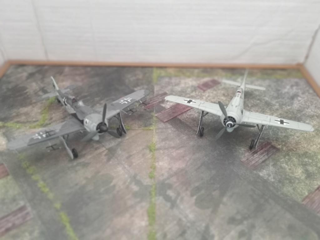 [Revell] FW 190 A-8/R-11 / Allemagne 1944 Img20628