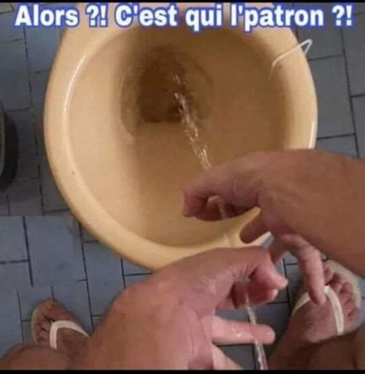 Humour en image du Forum Passion-Harley  ... - Page 22 Vdr12311