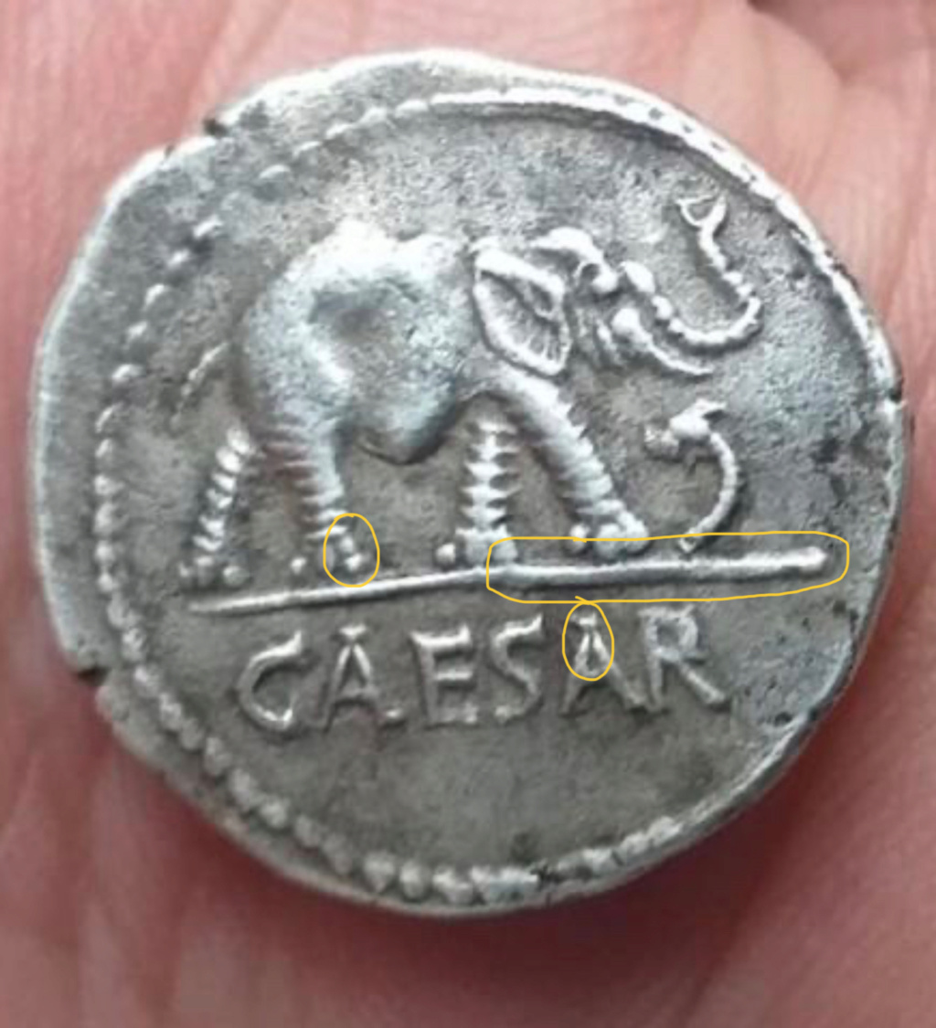 Denario de Julio Cesar. CAESAR. Elefante. Ceca movil  3ab9b310