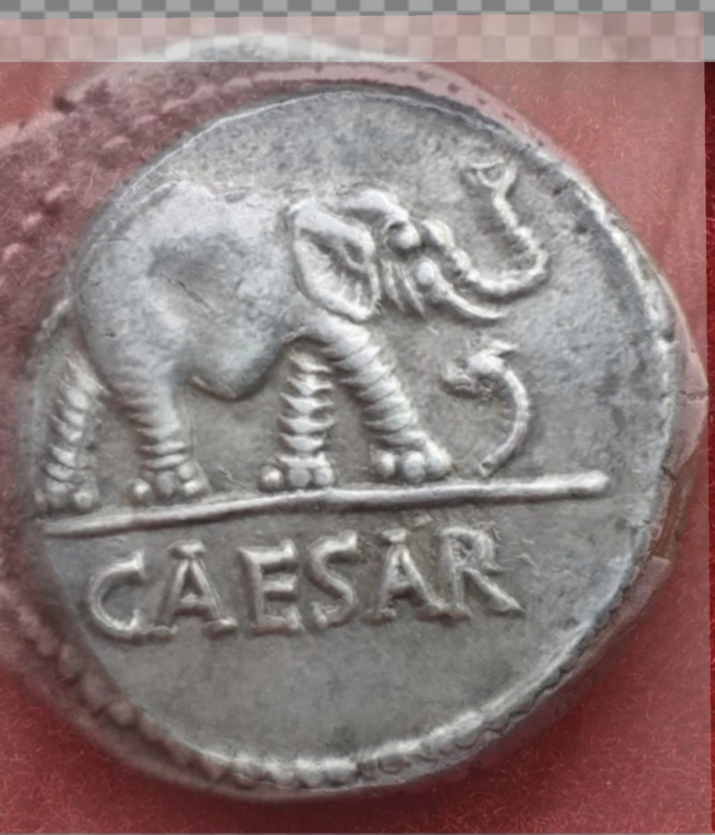 Denario de Julio Cesar. CAESAR. Elefante. Ceca movil 683b9610