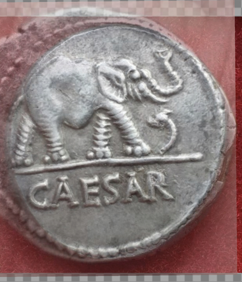 Denario de Julio Cesar. CAESAR. Elefante. Ceca movil  D61fd310