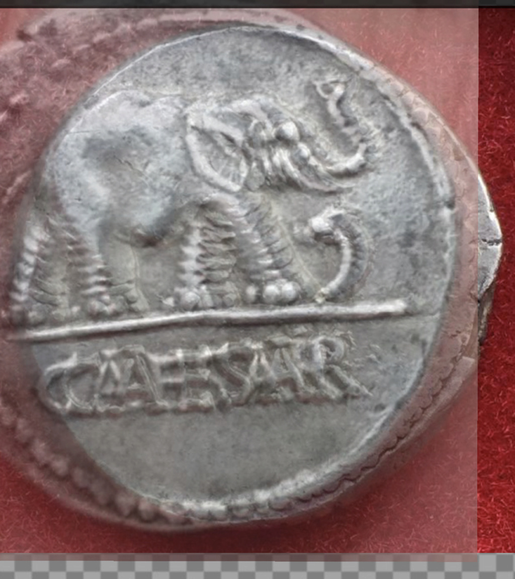 Denario de Julio Cesar. CAESAR. Elefante. Ceca movil Fe458410