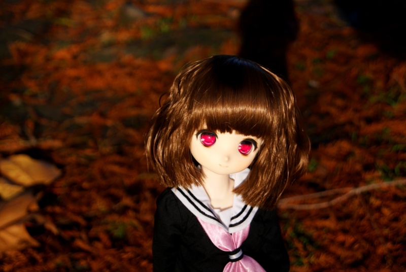 [Parabox & Dollce] MSD anime dolls Dsc01713