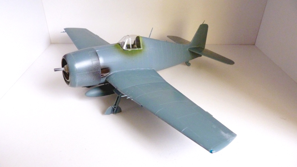 [Eduard] 1/48 - Grumman F6F-5 Hellcat Aéronavale   P1160311