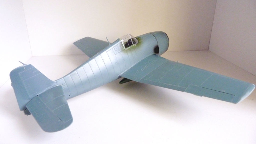 [Eduard] 1/48 - Grumman F6F-5 Hellcat Aéronavale   P1160314