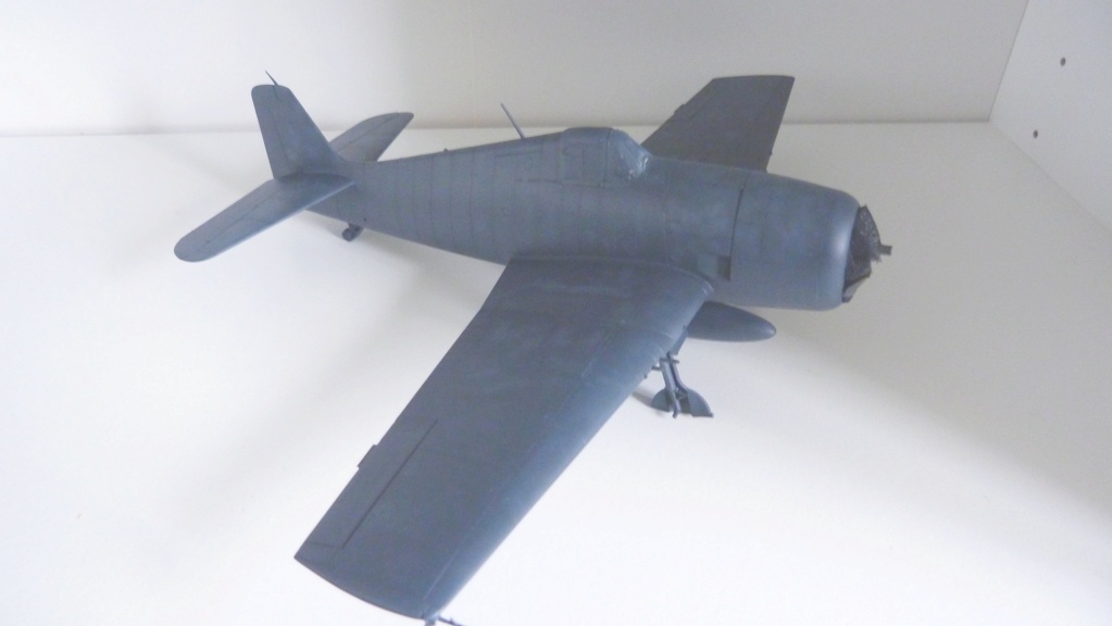 [Eduard] 1/48 - Grumman F6F-5 Hellcat Aéronavale   P1160319