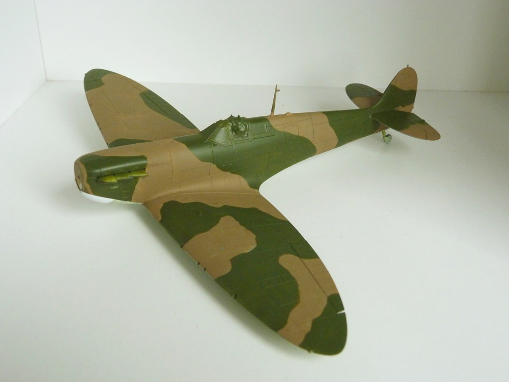 [Eduard] 1/48 - Supermarine Spitfire Mk.Ia   P1160728