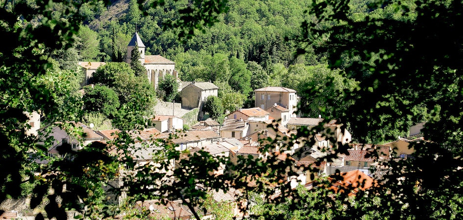 Abbaye de Sylvanés  Histoi11