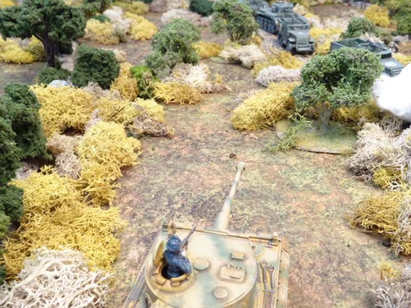 [CR] Wittman's best : Villers bocage (Achtung Panzer ! rules) Dsc07230