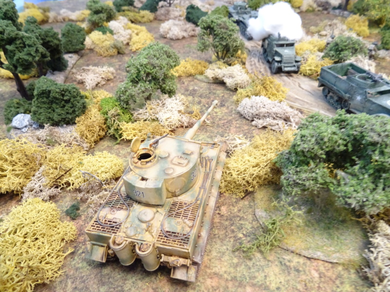 [CR] Wittman's best : Villers bocage (Achtung Panzer ! rules) Dsc07231
