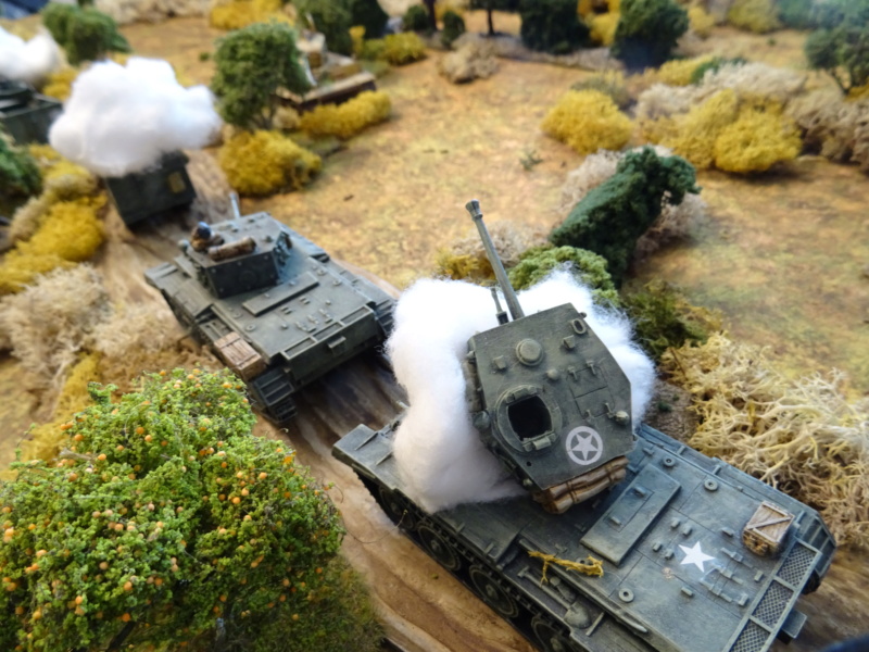 [CR] Wittman's best : Villers bocage (Achtung Panzer ! rules) Dsc07233