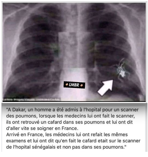 Humour en image du Forum Passion-Harley  ... - Page 13 Capt4838