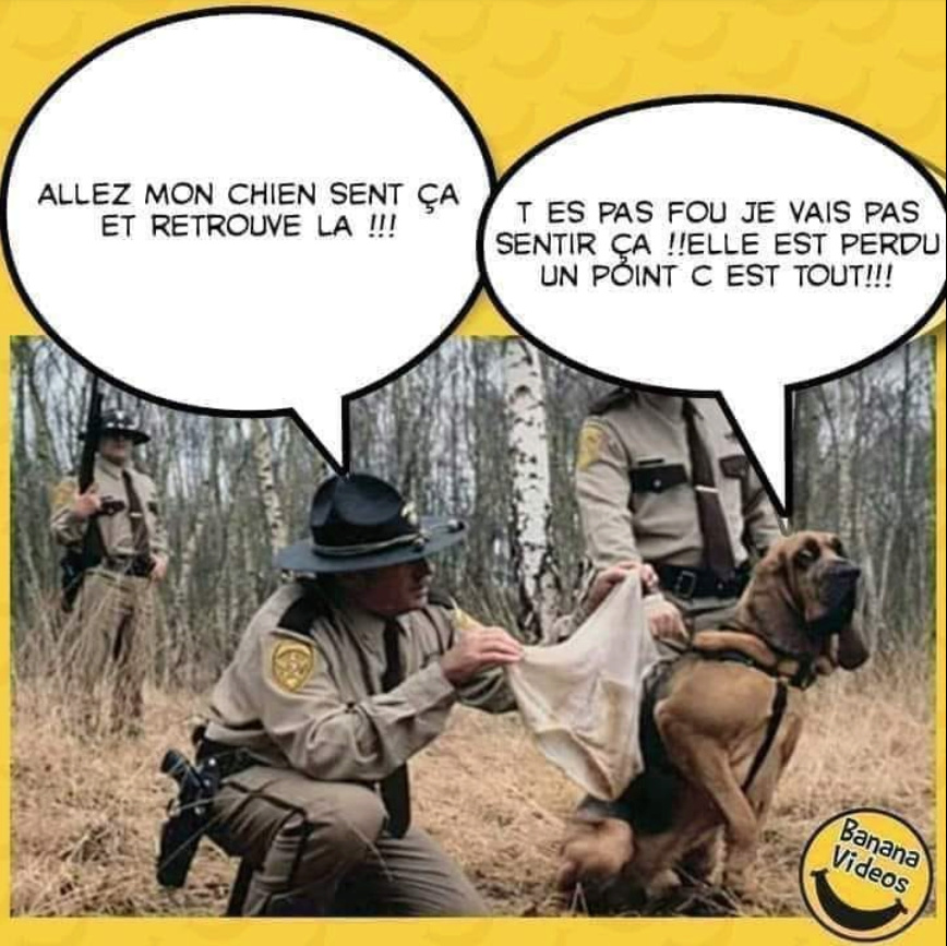 Humour en image du Forum Passion-Harley  ... - Page 20 Capt5852