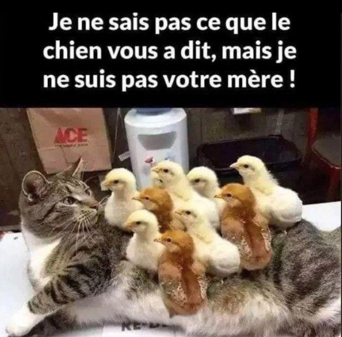 Humour en image du Forum Passion-Harley  ... - Page 17 Capt8782