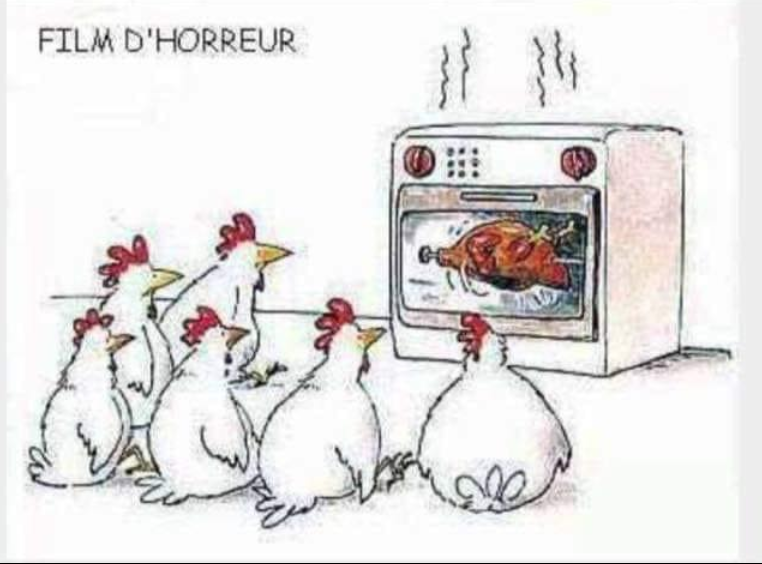 Humour en image du Forum Passion-Harley  ... - Page 29 Capt9176